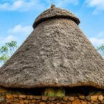 ethiopian-proverbs-dm
