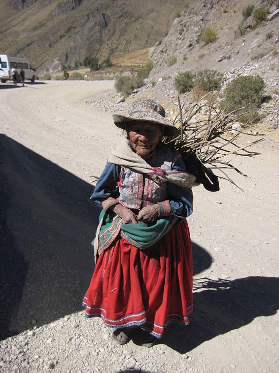 woman with firewood