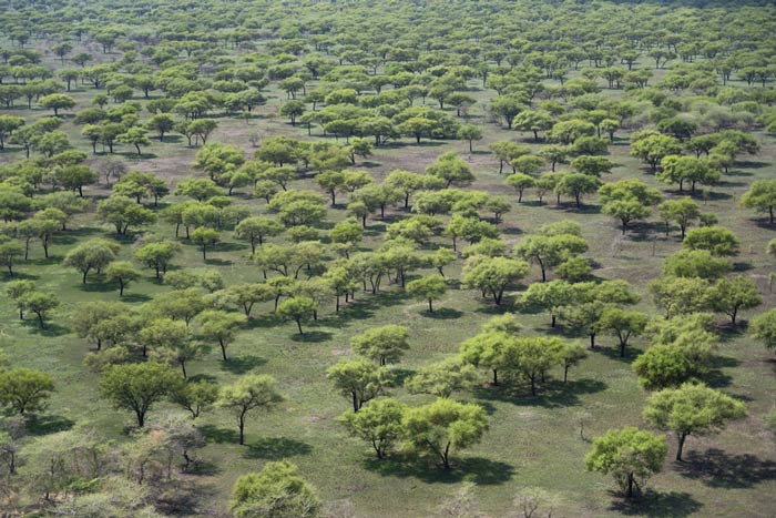 Boma–Badingilo Migratory Landscape