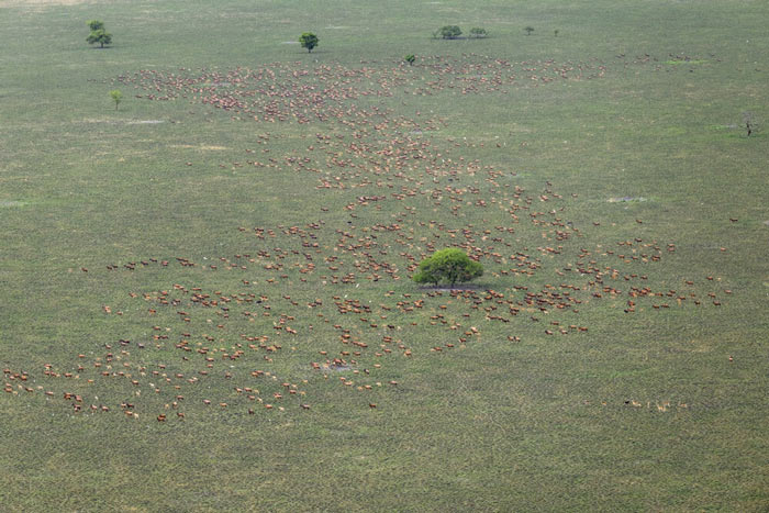 Boma–Badingilo, South Sudan