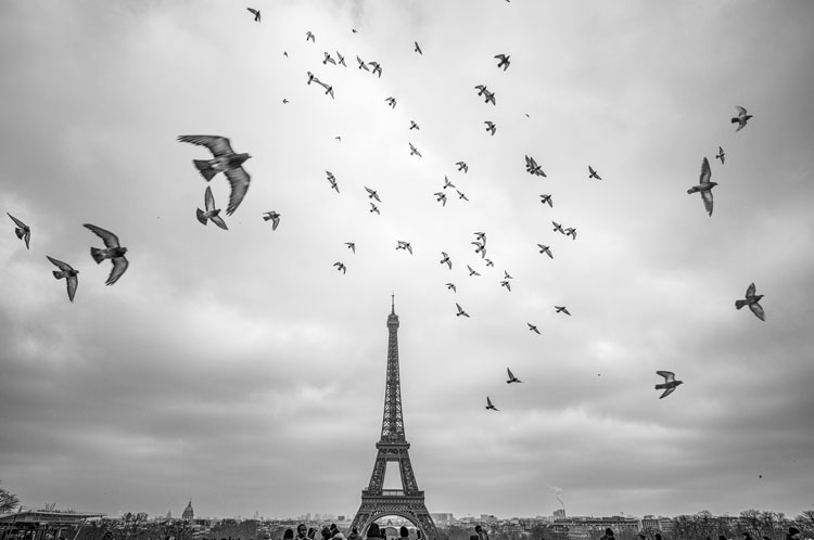 Paris Blues, Mathieu Bitton