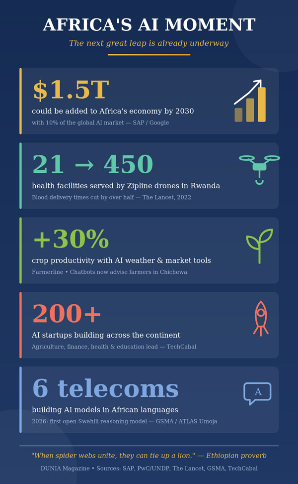 Africa's AI Moment, Infographic