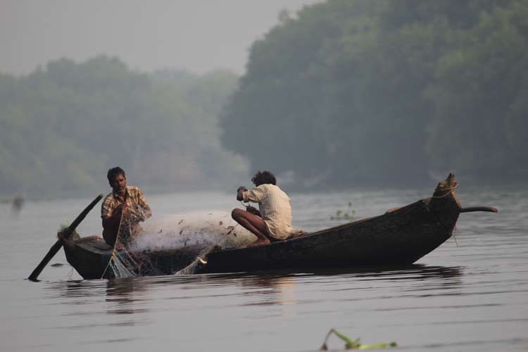 Fishing in Godavari mangrove forest